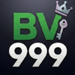 feature image BV999